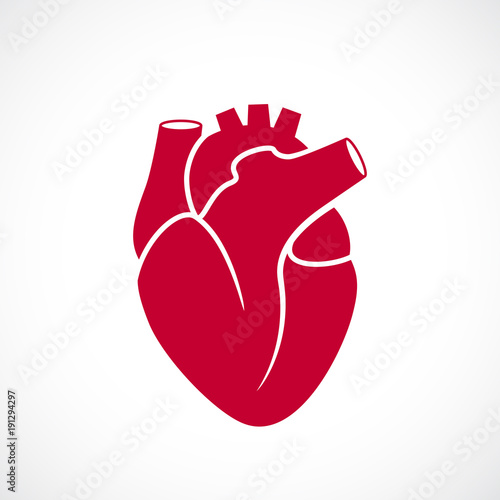 Human heart medical icon