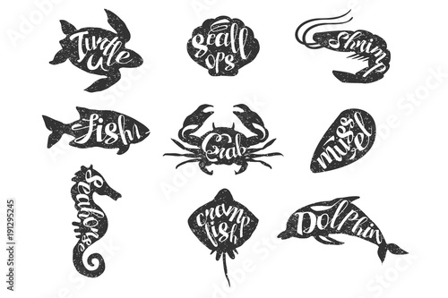 Vintage set of hand drawn sea animals. Silhouette of turtle, scallops, shrimp, fish, crab, mussel, seahorse, crampfish, dolphin with lettering. Textured monochrome vector