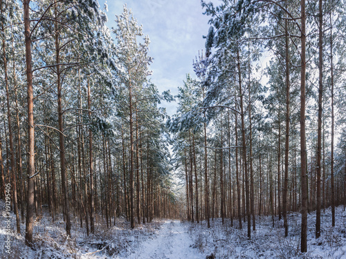 Fototapeta Naklejka Na Ścianę i Meble -  Landschaft im Winter