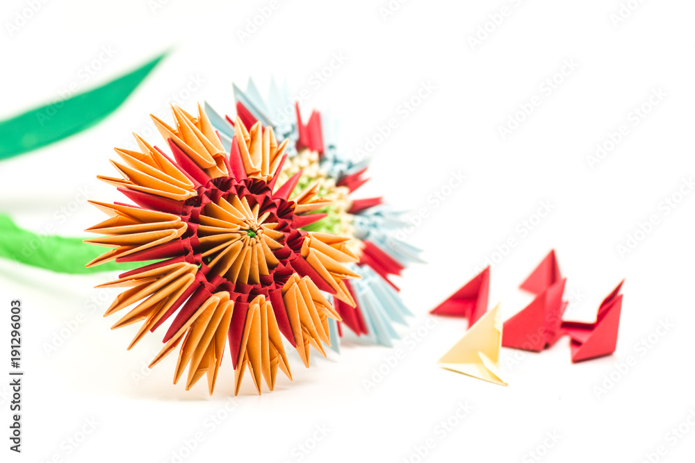 modular origami flowers with modules isolated on white background