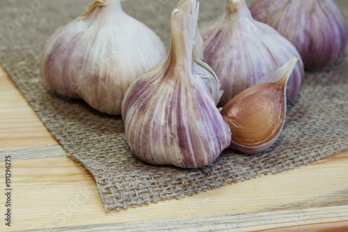 Garlic. Garlic Cloves and Garlic Bulb on vintage burlap. Organic garlic. Selective focus. Close-up.
