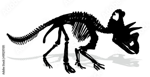 Dinosaur skeleton.