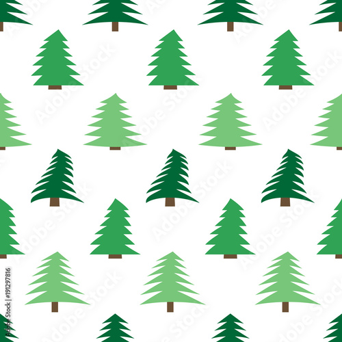 Seamless pattern with spruces on white background. Vector illustration 