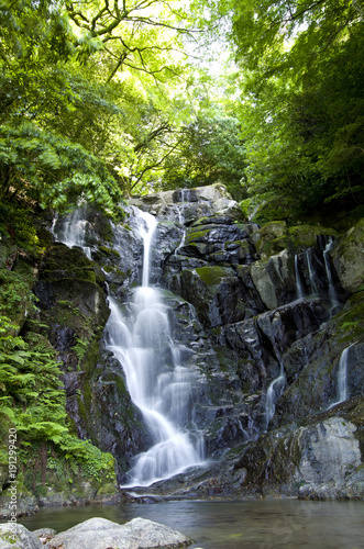 糸島の白糸の滝 © truewill