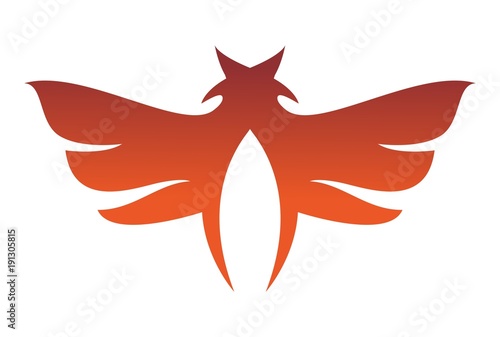 wings star abstract logo