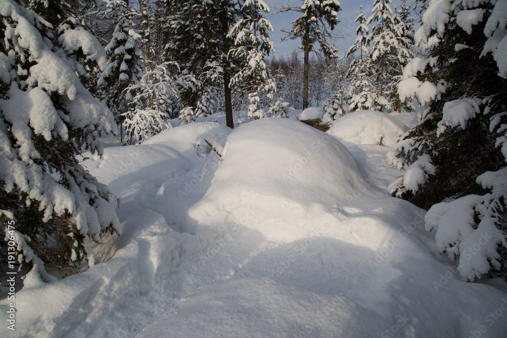 Bushcraft campfire in deep snow, preparation, ground base built by compacted snow Bushcraft campfire in deep snow, preparation, ground base built by compacted snow