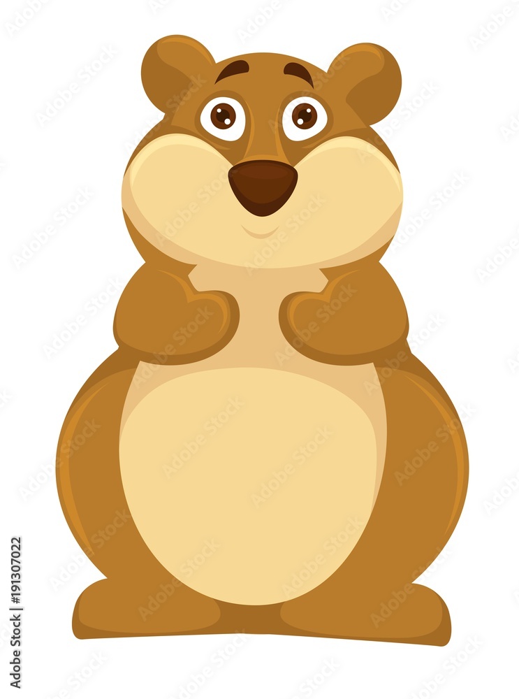 Big plump hamsters with scared round brown eyes Big plump hamsters with scared round brown eyes