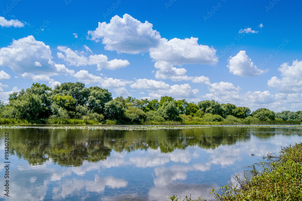 summer landscape: a river in which white curly clouds are displayed summer landscape: a river in which white curly clouds are displayed