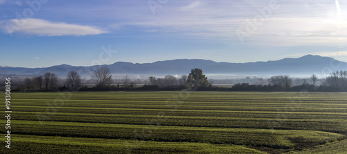 Scenic Tuscan landscape with beautiful fields, meadows and hills with morning fogs photo