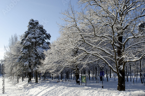 Winter park in a sunny day © Svetlana