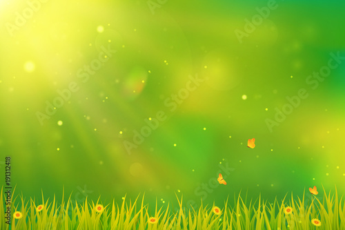 Green background with grass, flowers and butterflies.
