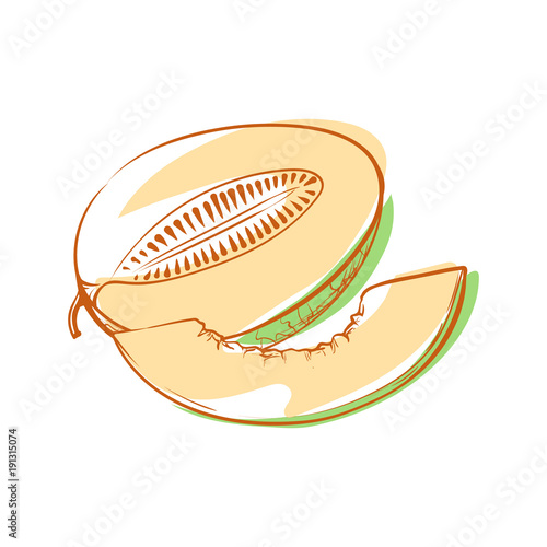 Ripe melon icon isolated on white background. Natural sweet eco food, healthy vegan nutrition, organic farming vector illustration