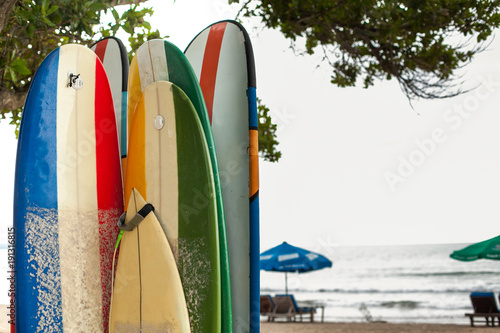 Photography Set of different color surf boards in a stack by ocean