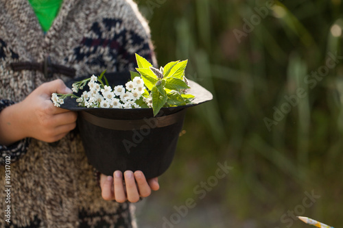 forest herbs in a hat held by a boy