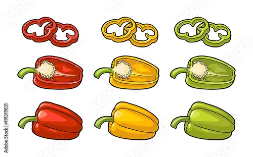 Sweet bell pepper. Vector vintage engraved illustration