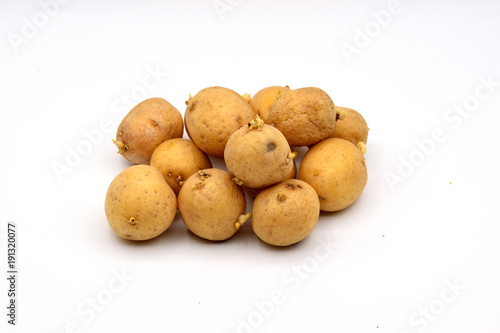 Sprouted Potatoes on a Seamless White Background