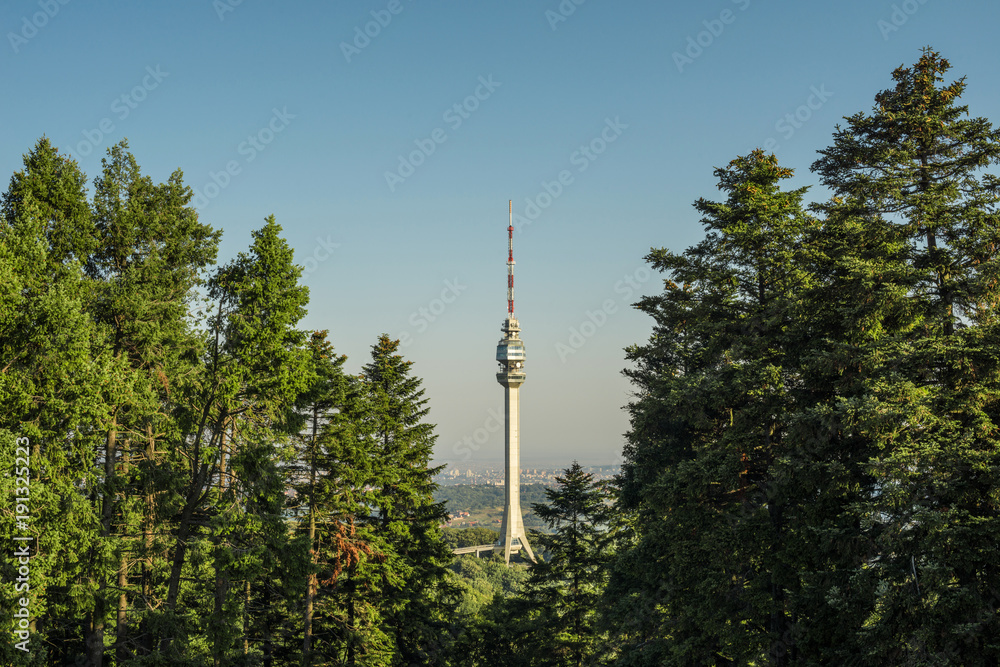 Obraz premium Tower