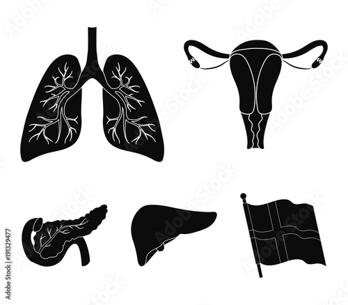 Uterus, lungs, liver, pancreas. Organs set collection icons in black style vector symbol stock illustration web.