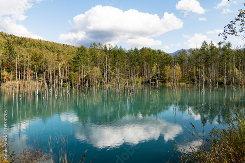 Blue Pond Hokkaido Biei