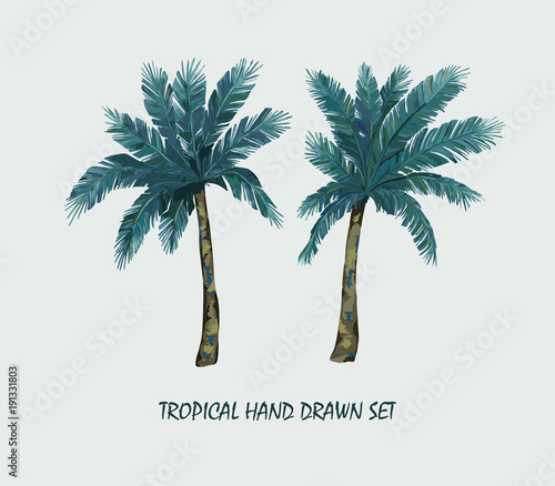 Tropical palm trees set. Vector Illustration. Isolated image