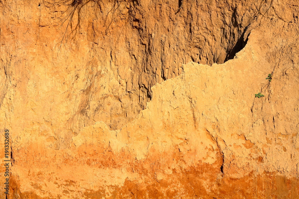Fototapeta premium Close-up of a loamy ravine wall as an environmental texture background. Seaside coastal erosion with clay soil