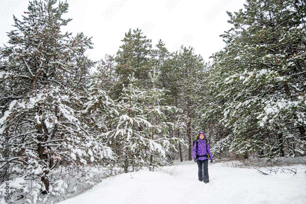 Woman Hiking with Big Backpack in Beautiful Winter Forest