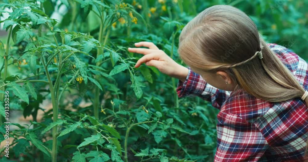 Child looking through magnifier to plants Child looking through magnifier to plants