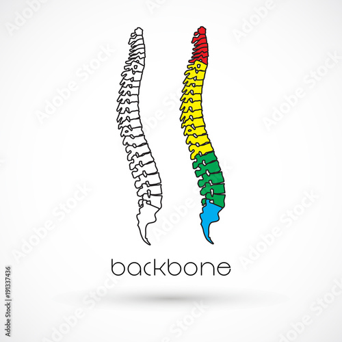 Spine health logo clinic medicine chiropractic backbone illustration