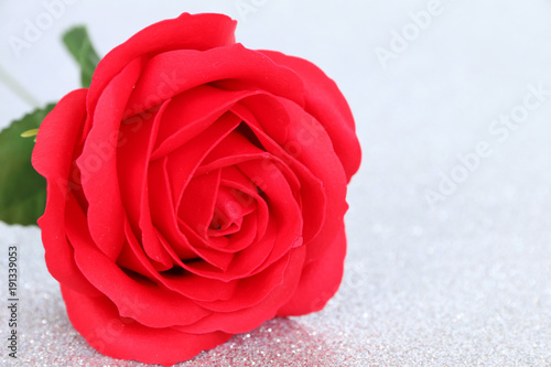 Red rose Valentine's day