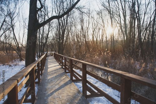 деревянная дорожка в зимнем парке © yulanaom