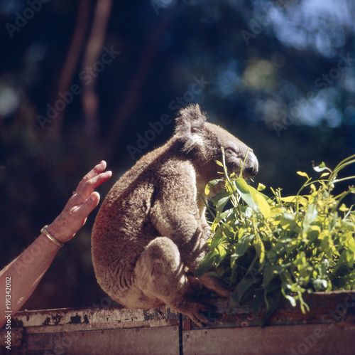 Photography Australien - Reise nach Sydney, Australien 1970er Jahre