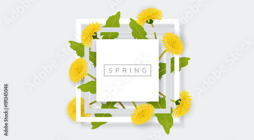 Fototapeta Naklejka Na Ścianę i Meble -  White frame with yellow dandelion flower and green leaf. Realistic vector illustration for spring and nature design, banner with square frame
