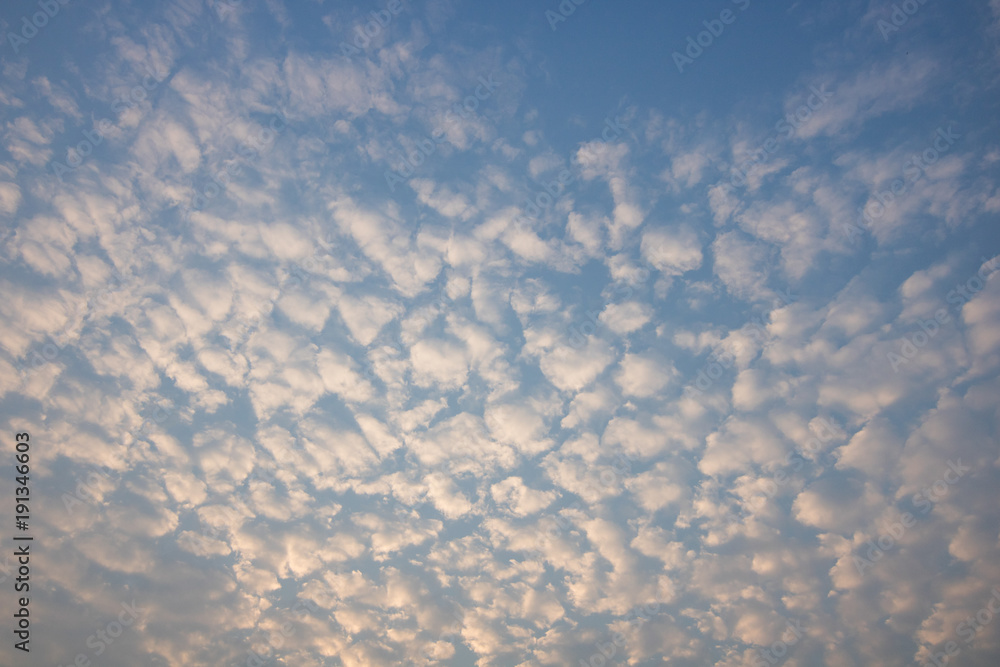 Fototapeta premium blue sky and white cloud before sunset.