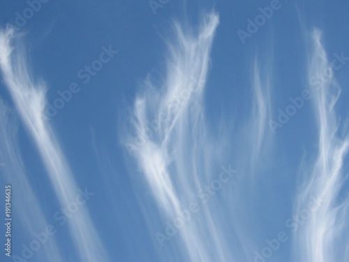 Horse Tail Cloud Wisps in a Clear Blue North Carolina Mountain Sky