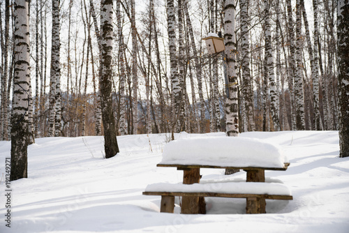 Snow drifts. In the snow table and benches. The birdhouse.