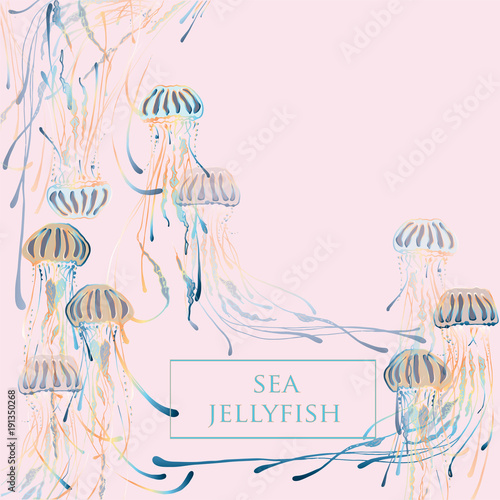 The magic color of marine jellyfish. Transparency and finesse of jellyfish. Creating ocean patterns

