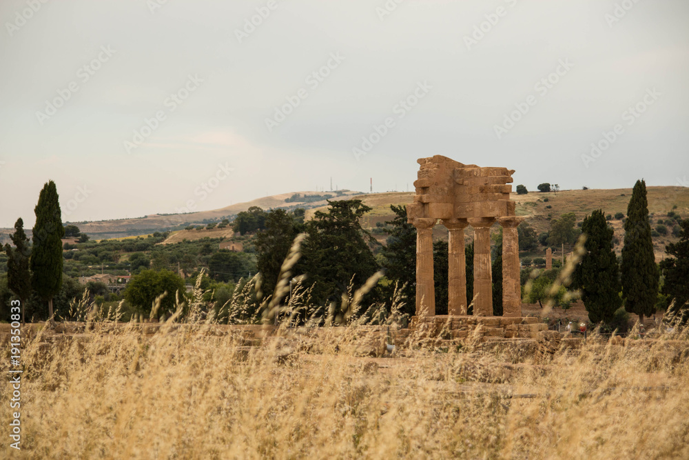 The re-assembled remains of the Temple of Castor and Pollux with golden ears in the foreground. Valle dei Templi - temples Valley, Agrigento, Italy.