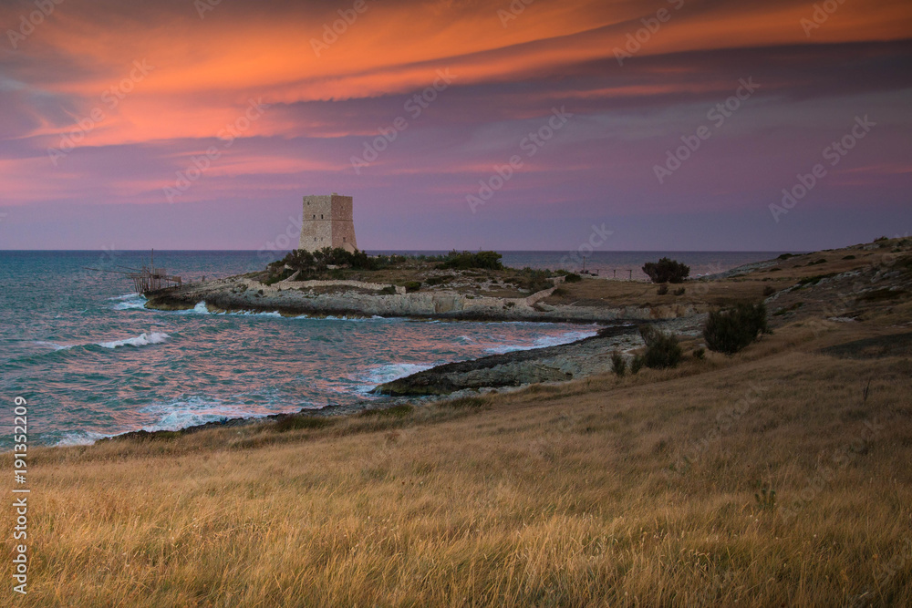 Landscape or seascape with dramatic pink sunset and an old defense tower on the sea. Vieste, italy.