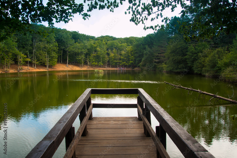 Green forest lake view from wooden pier. Foresta Umbra Park, Italy. Green forest lake view from wooden pier. Foresta Umbra Park, Italy.