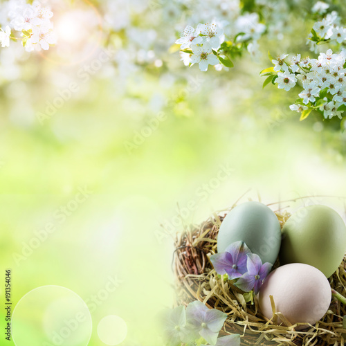 Spring landscape with easter eggs in a nest