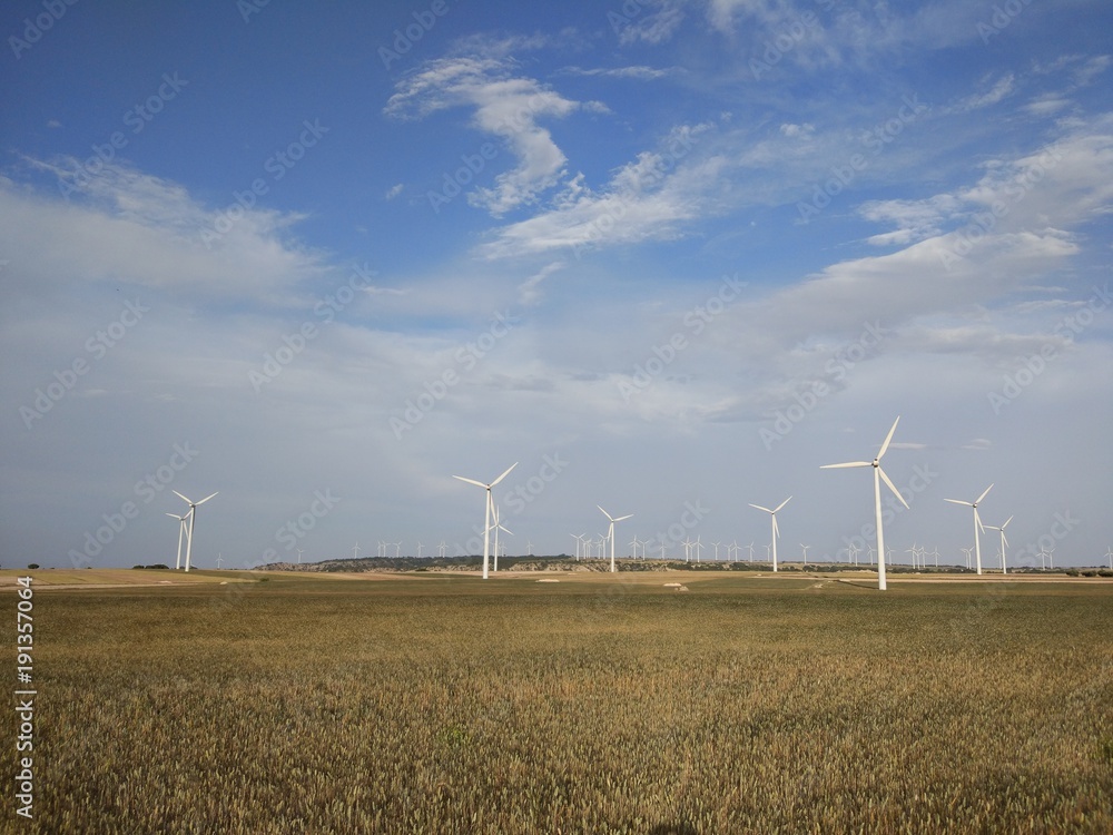 Aerogenerador, molino de viento en el campo Aerogenerador, molino de viento en el campo