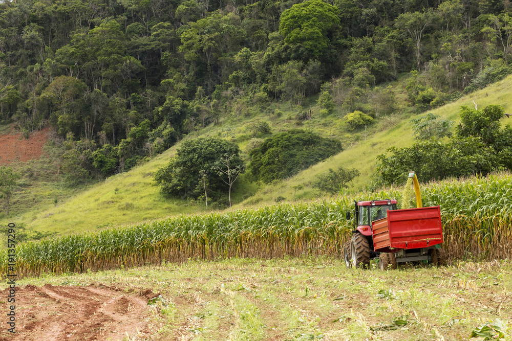 Fototapeta premium Agricultura