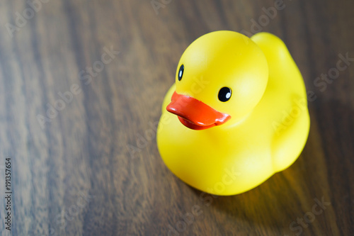 Yellow Rubber Duck isolated on wood background