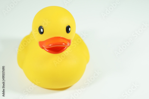 Yellow Rubber Duck isolated on white .background