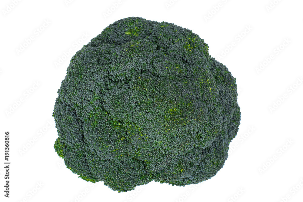 Head of green broccoli isolated on white background Head of green broccoli isolated on white background