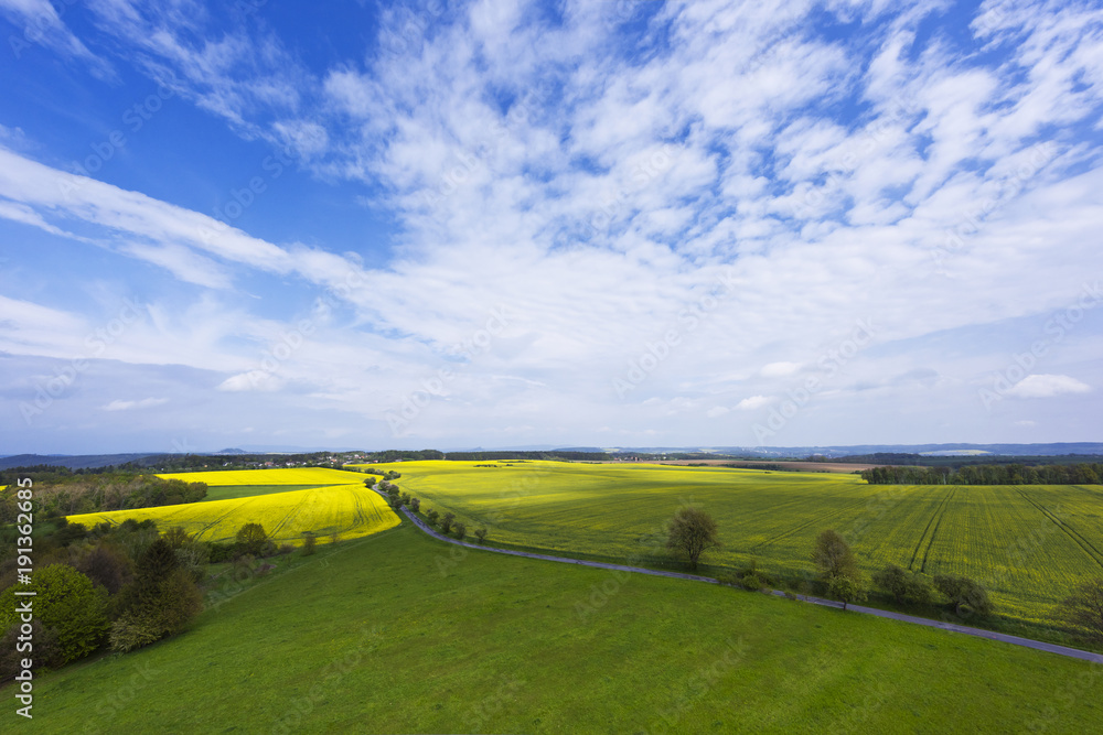Obraz premium Spring landscape with fields, meadows and a road