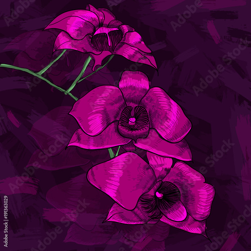 Drawing Beautiful Floral Botanical Spring Template