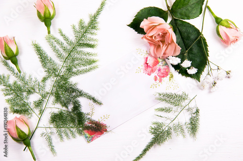 Flowers of a chamomile fern on a white background with a place for the inscription and bussines card photo