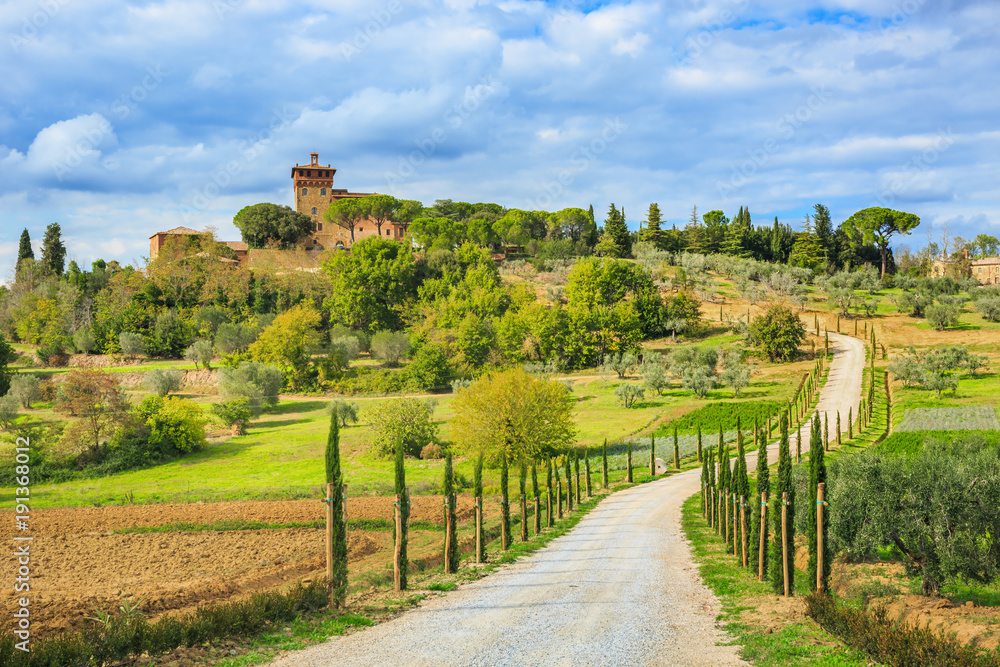Autumn landscape of the most picturesque part of Tuscany, Val d'orcia valley near Pienza city, Italy