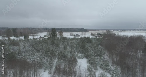 Aaerial view of winter fields, forest and trewes covered with snow. Countryside landscape. photo